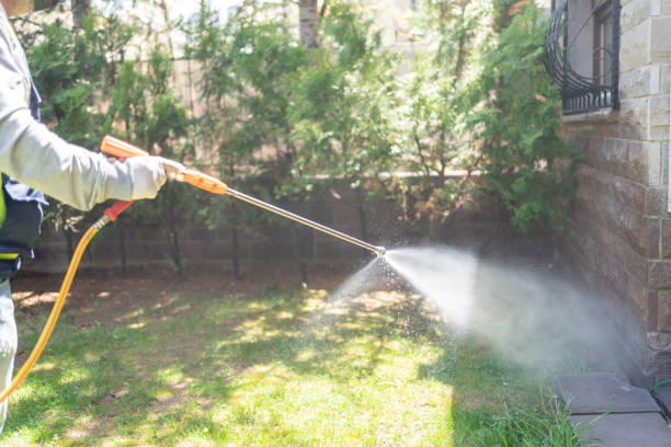 Wasp Removal Services in Princeton, FL